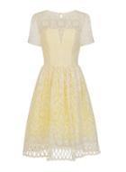 Dorothy Perkins *chi Chi London Lemon Short Sleeve Prom Dress