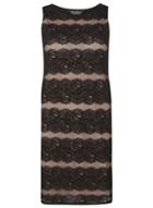 Dorothy Perkins *billie & Blossom Black And Nude Lace Shift Dress