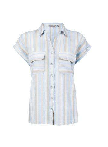 Dorothy Perkins Petite White Short Sleeve Striped Shirt