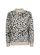 Dorothy Perkins Multi Colour Cheetah Print Jumper