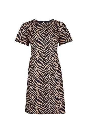 Dorothy Perkins Petite Multi Coloured Zebra Print Fit And Flare Dress