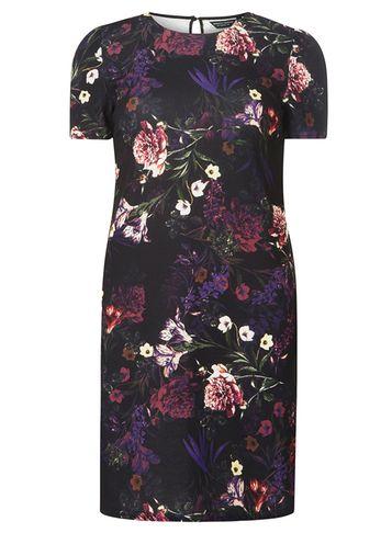 Dorothy Perkins Purple Floral Print Shift Dress