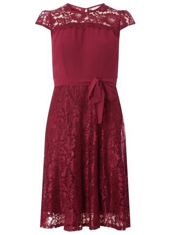 Dorothy Perkins *billie & Blossom Mulberry Lace Skater Dress