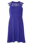 Dorothy Perkins Purple Lace Fit And Flare Dress