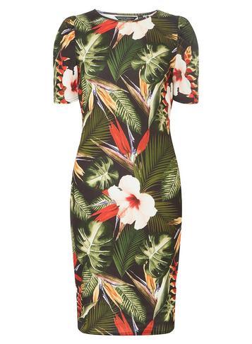 Dorothy Perkins Multi-coloured Tropical Print Bodycon Dress