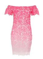 *quiz Pink Crochet Bardot Bodycon Dress