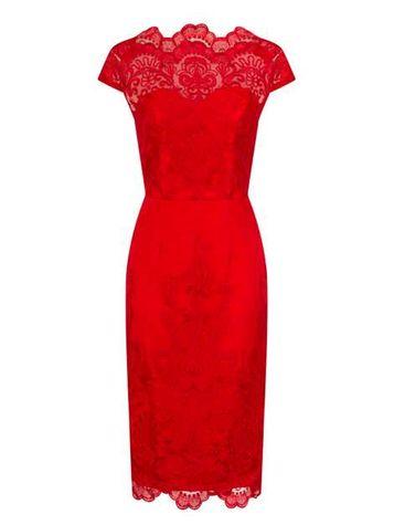 Dorothy Perkins *chi Chi London Mink Cap Sleeve Bodycon Dress