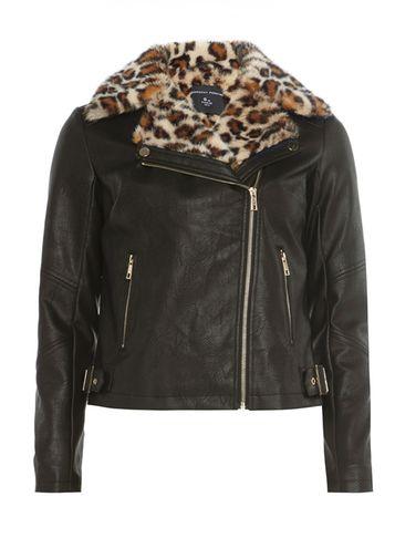 Dorothy Perkins Black Leopard Print Faux Fur Collar Biker Jacket