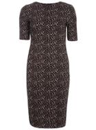 Dorothy Perkins Animal Jaqcuard Bodycon Dress