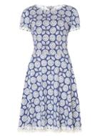 Dorothy Perkins *tall Blue Daisy Print Dress