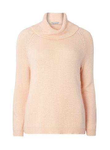 Dorothy Perkins Petite Blush Wool Roll Neck Jumper