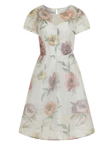 Dorothy Perkins *chi Chi London White Floral Midi Dress
