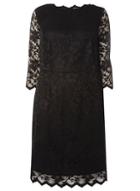 Dorothy Perkins Dp Curve Black Lace Bodycon Dress