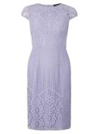 Dorothy Perkins Lilac Lace Pencil Dress
