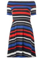 Dorothy Perkins Multi Colour Striped Skater Dress