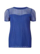 Dorothy Perkins Cobalt Spot Mesh Lace T-shirt