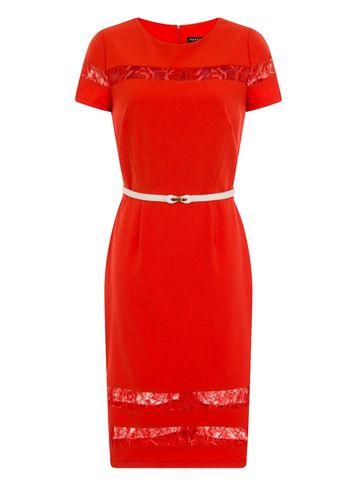 Dorothy Perkins *paper Dolls Orange Belted Dress