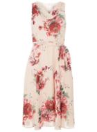 Dorothy Perkins *billie & Blossom Petite Blush Floral Print Skater Dress