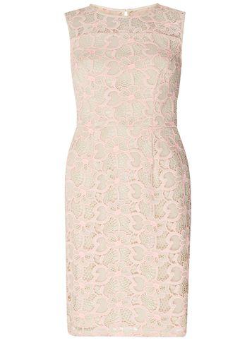 Dorothy Perkins Petite Pink And Nude Lace Shift Dress