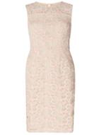 Dorothy Perkins Petite Pink And Nude Lace Shift Dress