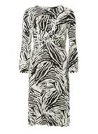 Dorothy Perkins Multicoloured Zebra Print Manipulated Midi Shift Dress