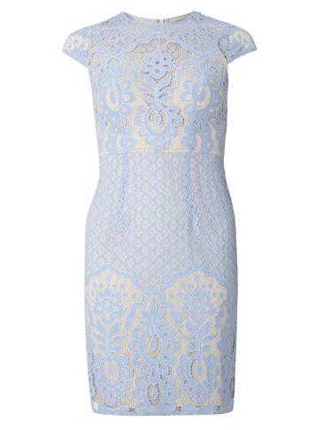 Dorothy Perkins Petite Blue Lace Fitted Dress