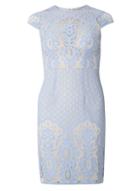 Dorothy Perkins Petite Blue Lace Fitted Dress