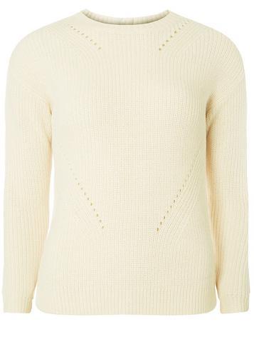 Dorothy Perkins Petite Ivory High Neck Jumper