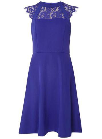 Dorothy Perkins *tall Ultra Violet Lace Dress
