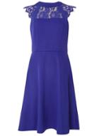 Dorothy Perkins *tall Ultra Violet Lace Dress