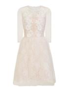 Dorothy Perkins *chi Chi London White Lace Prom Dress