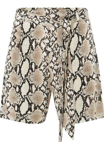Dorothy Perkins Multi Colour Snake Print Shorts