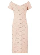 Dorothy Perkins *blush Bardot Lace Midi Dress