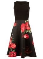 *feverfish Black Floral Print Skater Dress