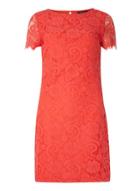 Dorothy Perkins Coral Lace Shift Dress