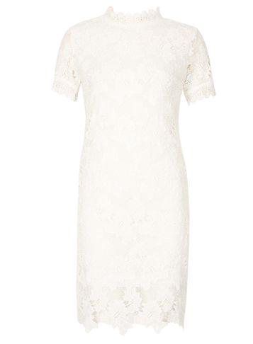 Dorothy Perkins *izabel London White High Neck Lace Shift Dress