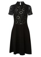 Dorothy Perkins Black And Gold Lace Skater Dress