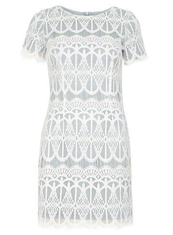 Dorothy Perkins Eyelash Lace Pencil Dress