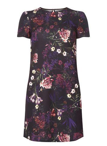 Dorothy Perkins Petite Purple Floral Print Shift Dress