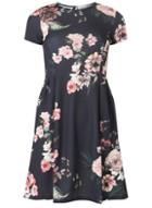 Dorothy Perkins Petite Navy Floral Fit And Flare Dress