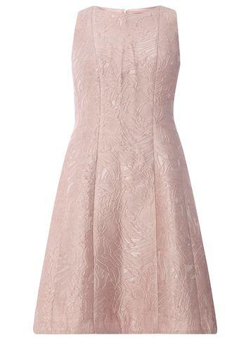 Dorothy Perkins Blush Jacquard Fit And Flare Dress