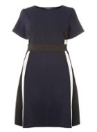Dorothy Perkins Dp Curve Navy Colour Block Fit And Flare Dress