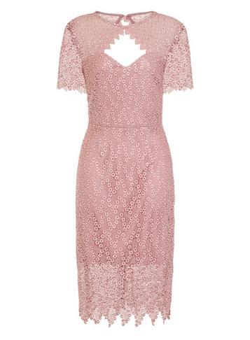 Dorothy Perkins *paper Dolls Blush Cut Out Midi Bodycon Dress