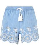 Dorothy Perkins *dp Beach Chambray Embroidered Shorts