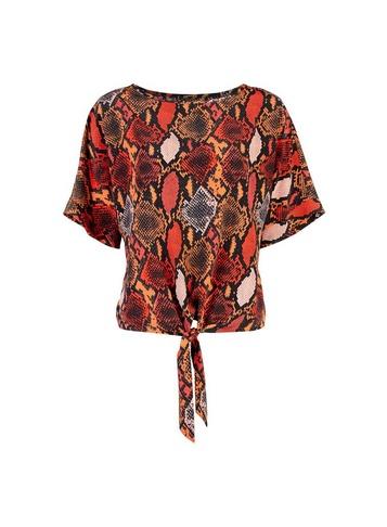 Dorothy Perkins Multi Colour Snake Print Top