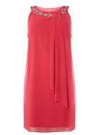Dorothy Perkins *billie & Blossom Curve Pink Trapeze Dress