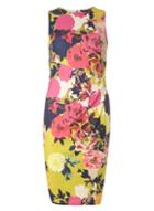 Dorothy Perkins Lime Floral Pencil Dress