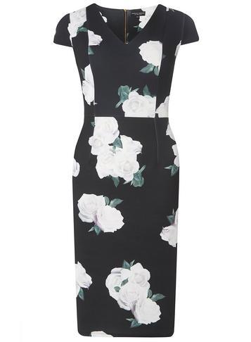 Dorothy Perkins Floral Print Scuba Pencil Dress
