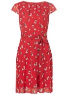 Dorothy Perkins *billie & Blossom Red Poppy Chiffon Dress