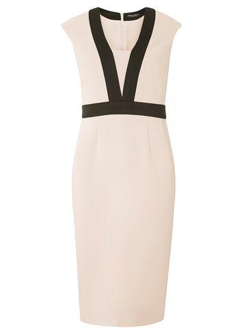 Dorothy Perkins Blush And Black Lace Dress